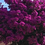 La Maddalena Сasa de vacaciones
